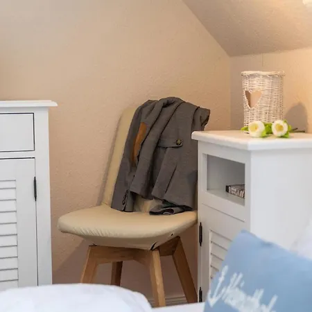 Seebrise * זינקסט